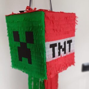Minecraft pinjata ar dažādām virsmām